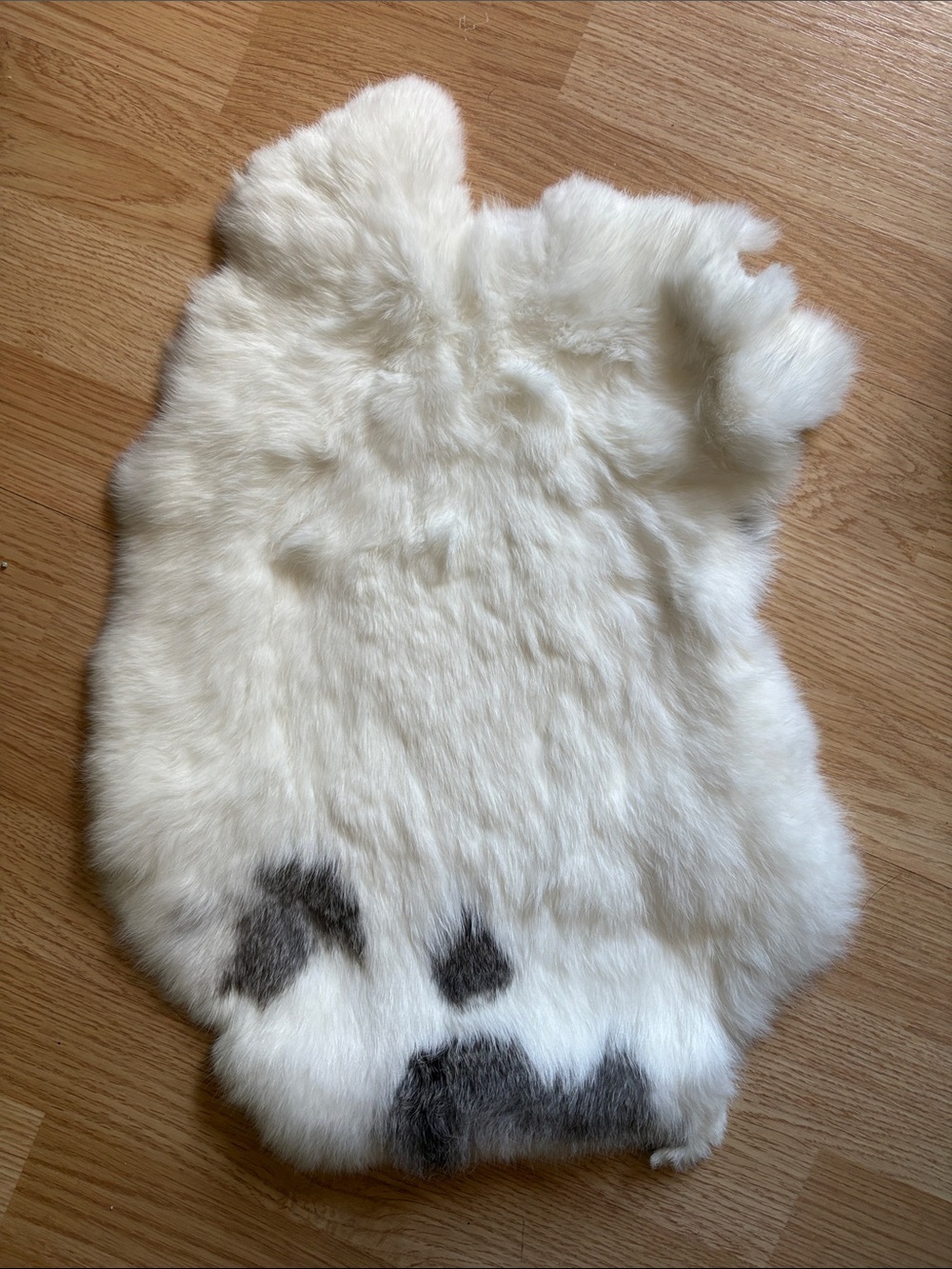 B0185 rabbit pelt